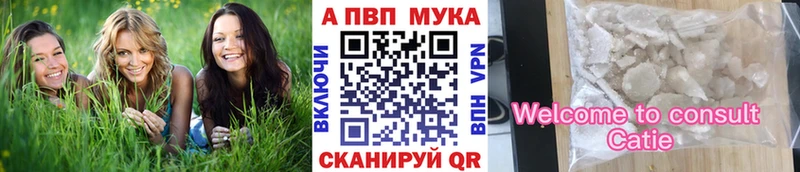 Alpha-PVP СК  где найти   Новочеркасск 