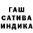 Каннабис сатива Sp00ky Ravioli
