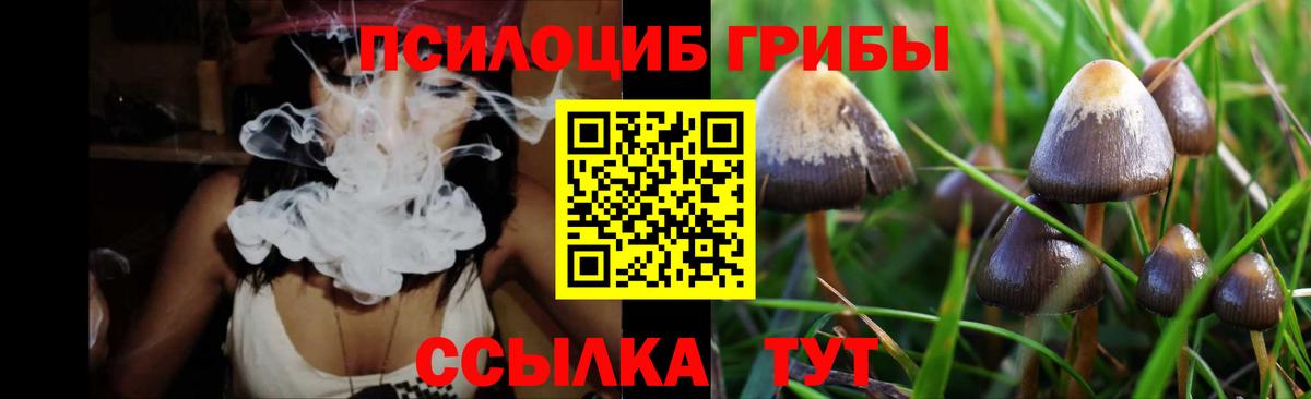 Псилоцибиновые грибы MAGIC MUSHROOMS  Вход с VPN  Псилоцибиновые грибы Psilocybine cubensis  Новочеркасск 